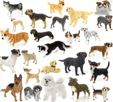 Leonardo Dog Studies