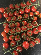 Piccolo  Cherry Tomatoes 50