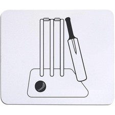 'Cricket Pitch Essentials'