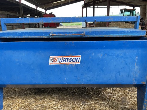 Year old watson calf creep - calf,