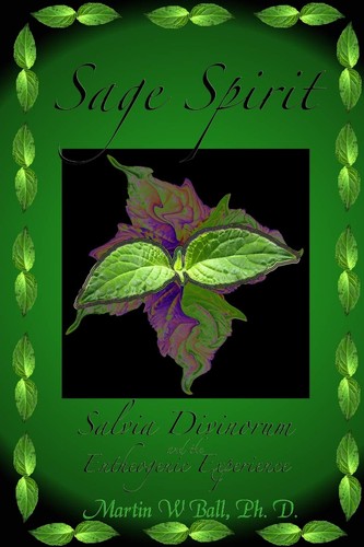 Sage spirit salvia - salvia, divinorum