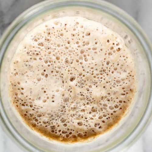 Sourdough starter 30 year - -,