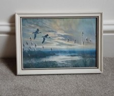 Vintage Peter Scott "Pair of Teal Flighting' Framed Print 11"x8"