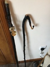 Blackthorn Walking Stick One