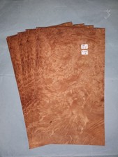 4 CONSECUTIVE SHEETS OF BURR MADRONA VENEER MARQUETRY GUITAR  EB315 17 X 29 CM