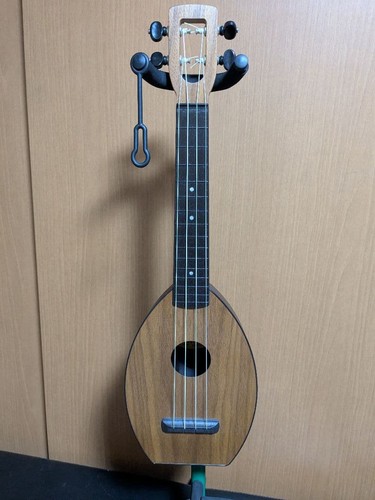 Flea ukulele concert - flea,
