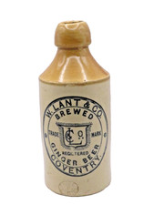 'W. Lant & Co, Brewed Ginger