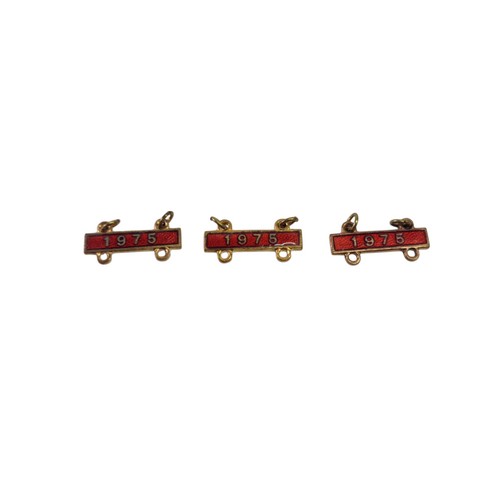 Rac badge bar 1975 - badge, enamelled