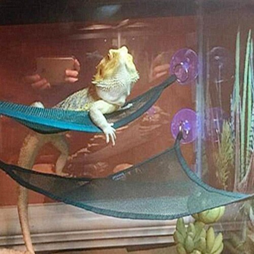 2pcs bearded dragon hammock - 2pcs,