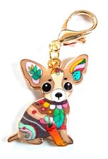 Beautiful Cute Chihuahua /