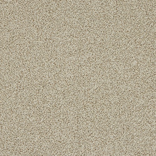 Carpet remnant toasted oak - toasted,