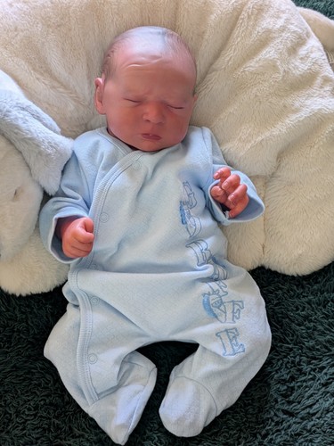 Reborn baby doll - reborn,