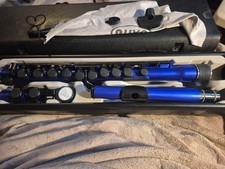 Nuvo Beginners Flute with Case