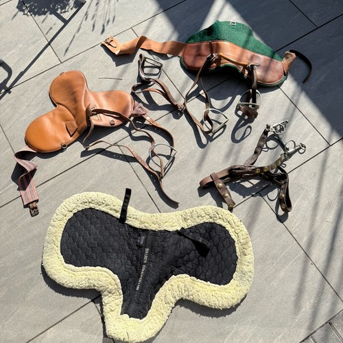 Horse riding tack - horse,