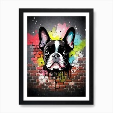 Aesthetic Boston Terrier Dog