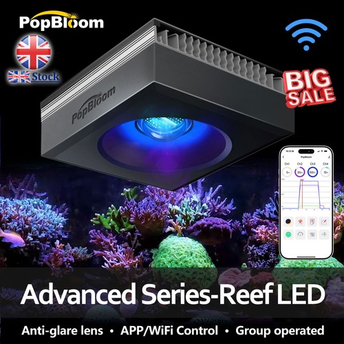 Popbloom rl90 rl115 rl180 - popbloom,