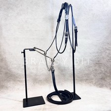 Arab Show Halter w/ Lead & Fleming Silver Hardware