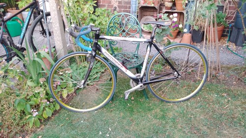 Two vintage racing bikes - vintage,