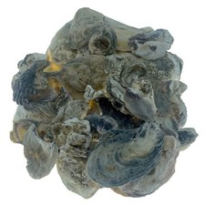 Pond Planet Oyster Shells 2kg