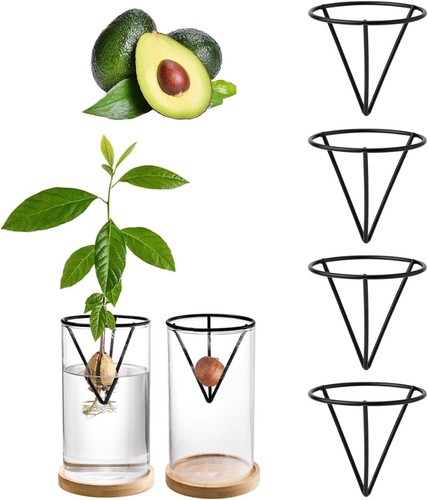 Pcs avocado growing kits - 4,