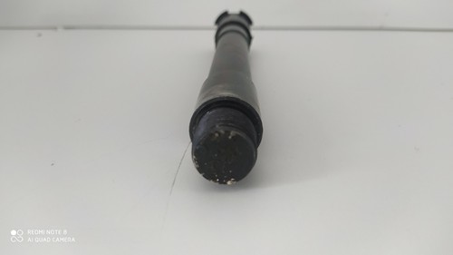 Swing pin and motor moto - moto, guzzi