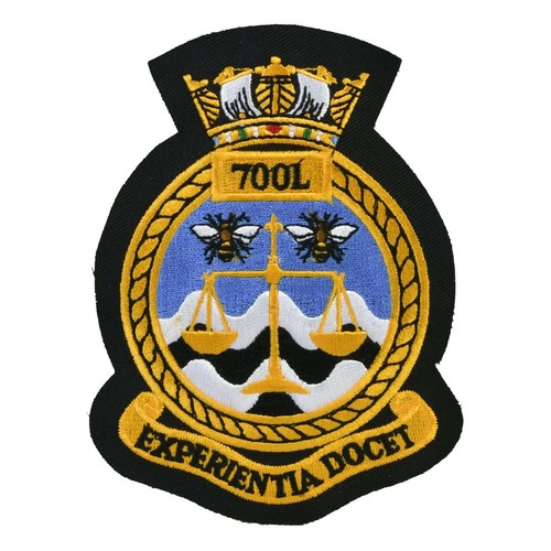 Fleet air arm squadron - fleet,