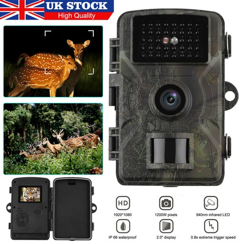 1080p wildlife trail - wildlife,