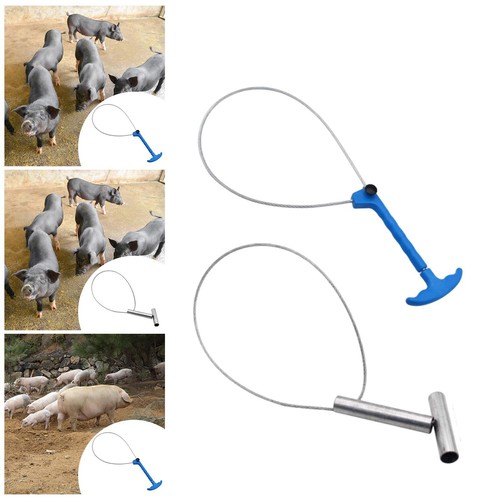 Pig catcher accessory - pig,