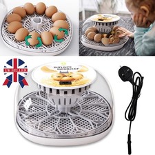 Digital 12-Egg Incubator