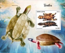 Turtles MNH Stamps 2023 Sierra