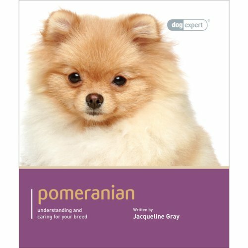 Pomeranian by - pomeranian, expert)