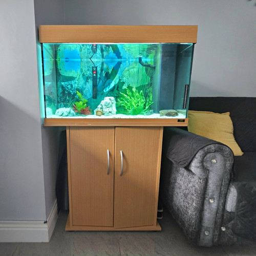 Juwel rio 125l - juwel,