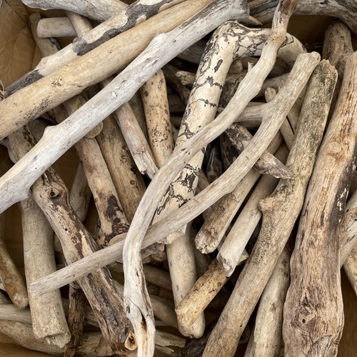 Small driftwood pieces art - 50,