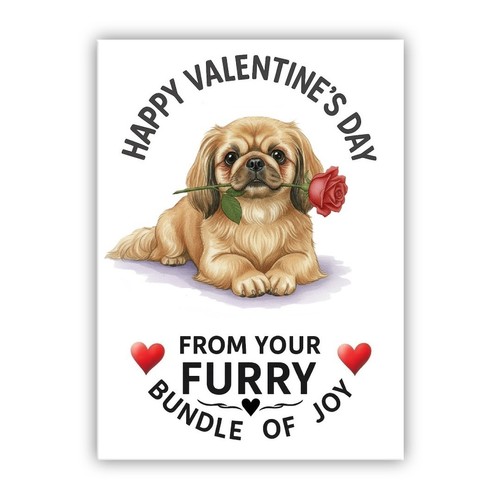 Pekingese dog valentine day - dog, valentine's