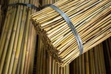 3ft-7ft Bamboo Wooden Plant