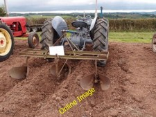 Photo 6x4 Three row potato