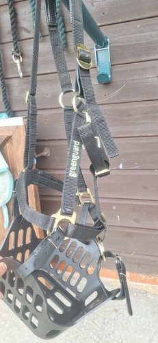 Greenguard grazing muzzle - greenguard, and