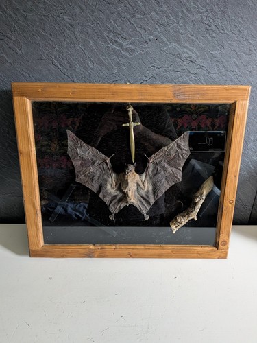 Taxidermy vampire kit - vampire,