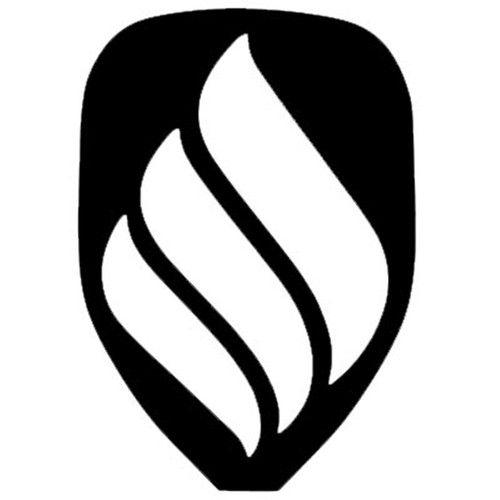Ektelon racquetball stencil - racquetball,