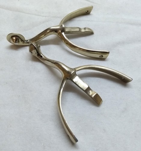 Swan neck spurs - swan,