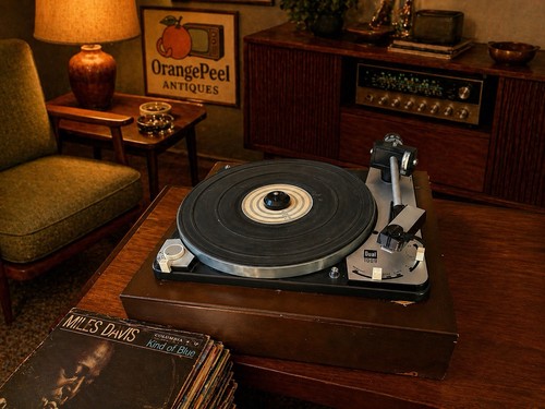 Vintage 1960s dual 1009 - dual,