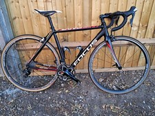 Focus Cayo Road Bike