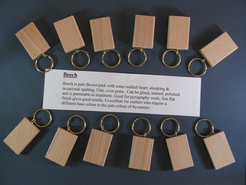 Blank wood keyrings approx
