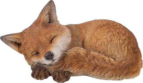Real life sleeping fox - life,