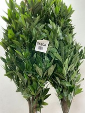 Leaf pair 120cm - pair, (4ft)