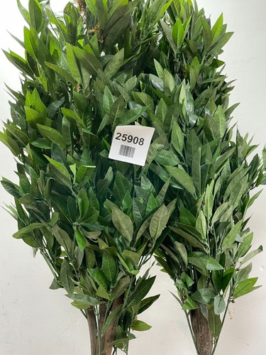 Leaf pair 120cm - leaf,