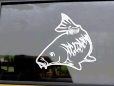 MIRROR CARP  Vinyl Fishing Car