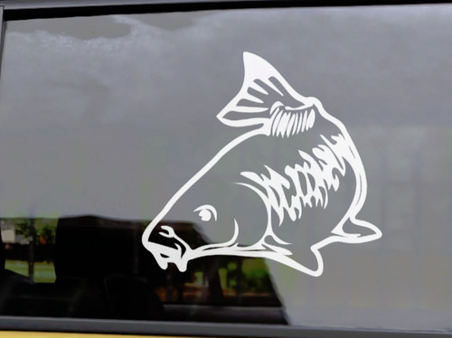 Mirror carp vinyl fishing car - mirror,