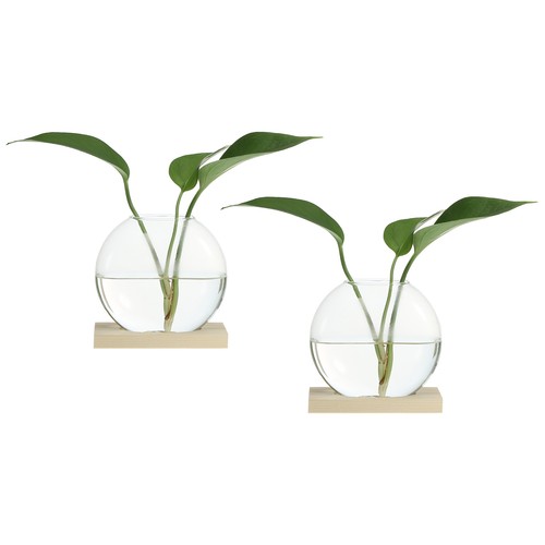 Pack plant propagation - plant,