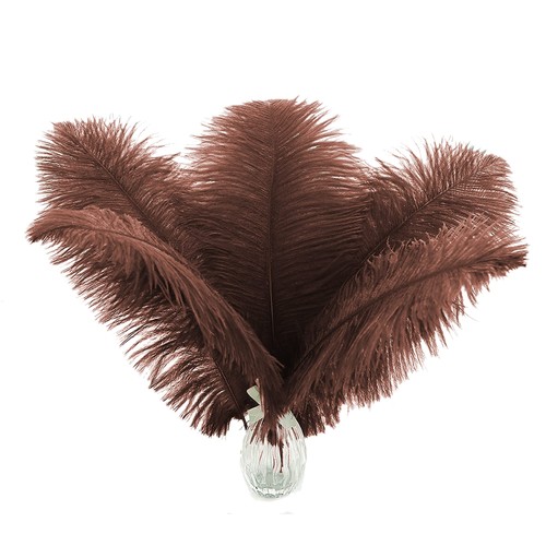 Natural brown ostrich feathers - brown,